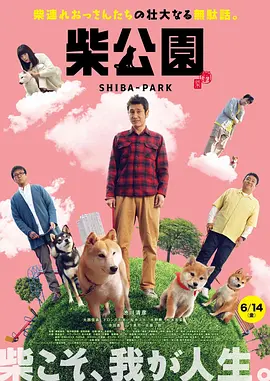 国产一线视频在线观看高清