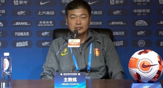 国内精品久久久久久久久野战