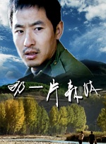 精品国产三级v