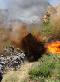 恋爱关系