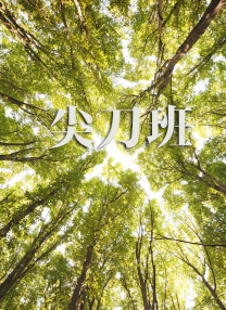 av日韩免费