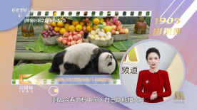 久久久久综合网久久