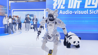 女人与公拘交酡全过程1人